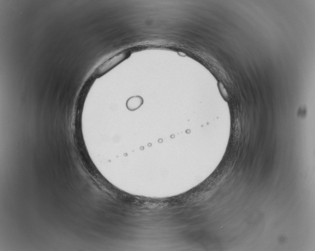 X0000116290484201001111100