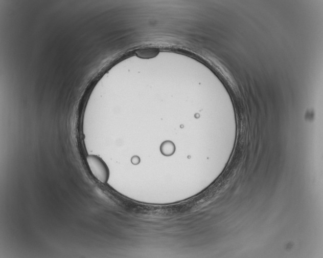 X0000116290485201001111059