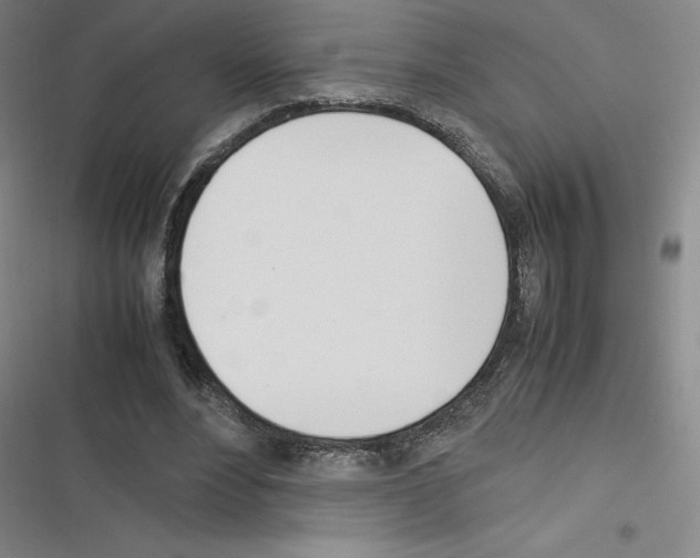 X0000116290488201001111059