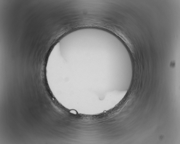 X0000116290489201001111059