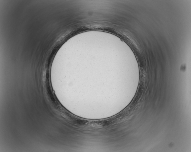 X0000116290491201001111059