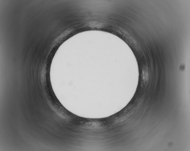 X0000116290492201001111059