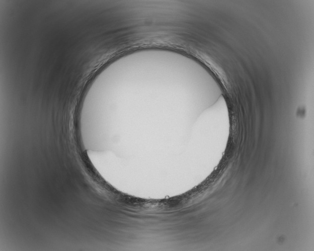 X0000116290493201001111059