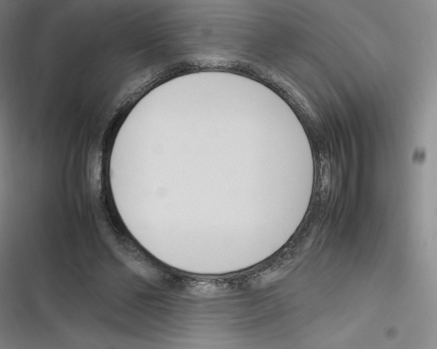 X0000116290494201001111059