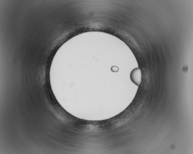 X0000116290496201001111059