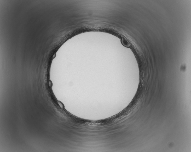 X0000116290497201001111059