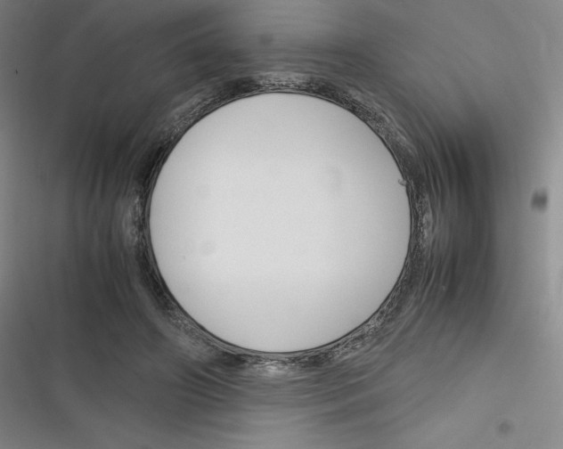 X0000116290498201001111059