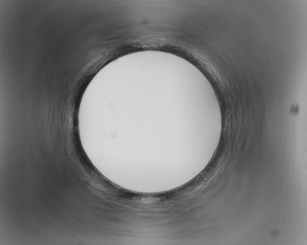 X0000116290501201001111059