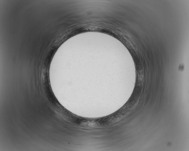 X0000116290503201001111059