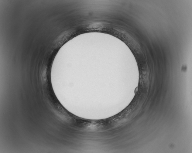 X0000116290504201001111059