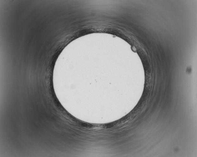 X0000116290505201001111059