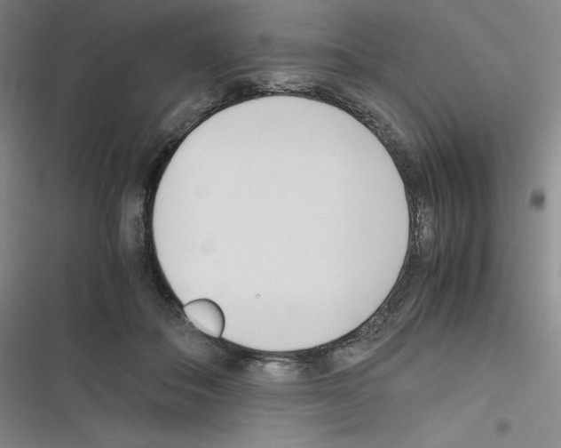 X0000116290506201001111059