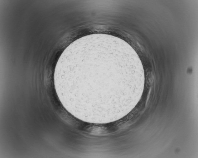 X0000116290507201001111059