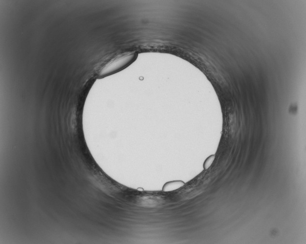 X0000116290508201001111059