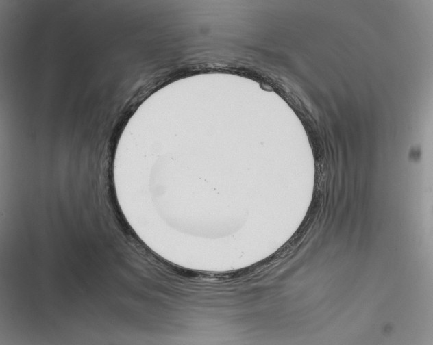 X0000116290509201001111059