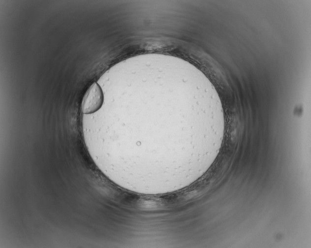 X0000116290510201001111059