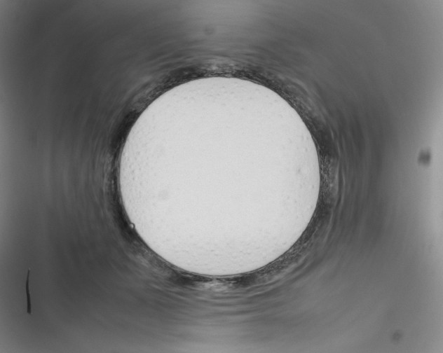 X0000116290511201001111059