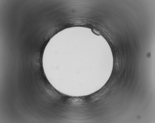 X0000116290512201001111059