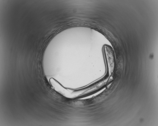 X0000116290513201001111059