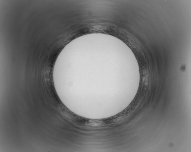 X0000116290514201001111059