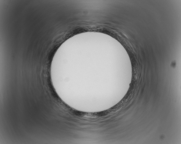 X0000116290515201001111059