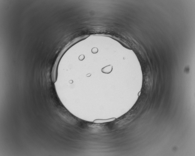 X0000116290516201001111059