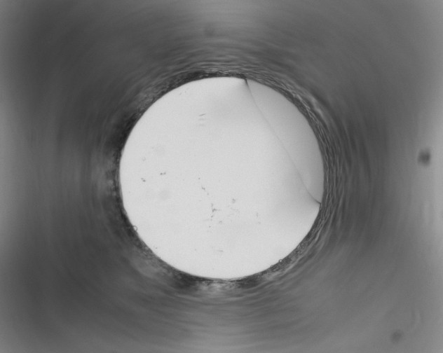 X0000116290517201001111059