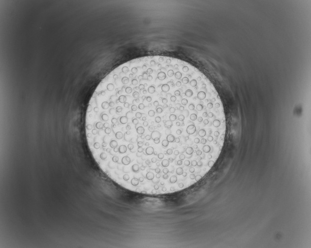 X0000116290519201001111059