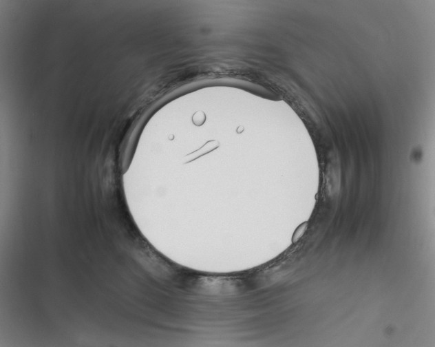 X0000116290520201001111059