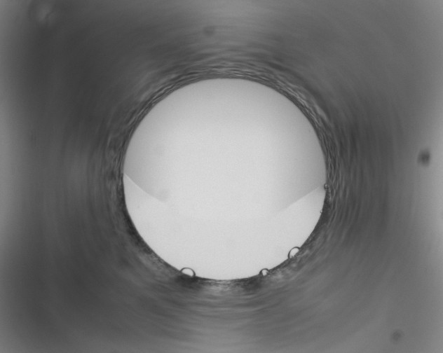 X0000116290521201001111059