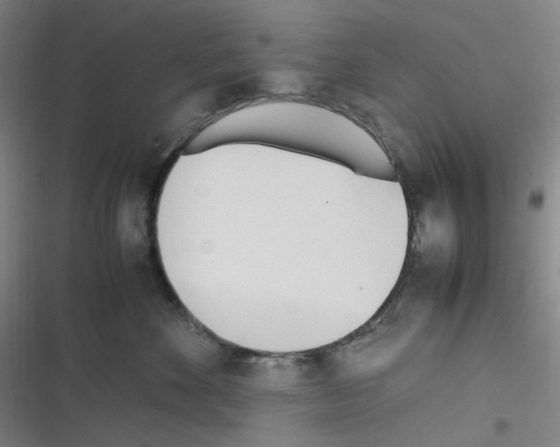 X0000116290524201001111059