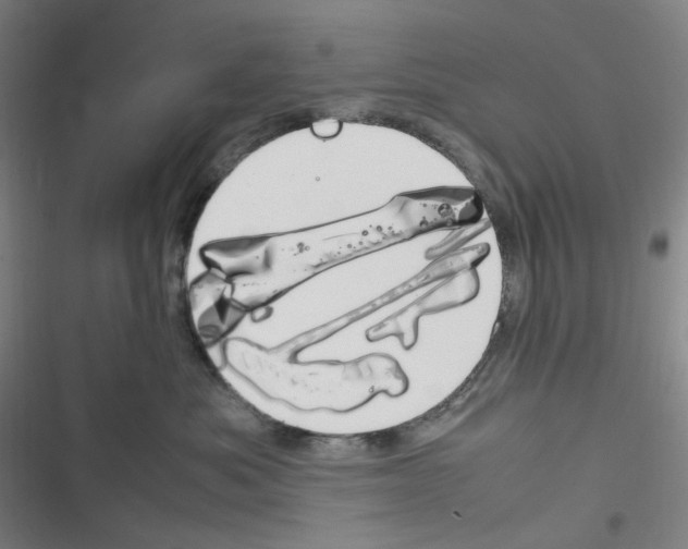 X0000116290525201001111059