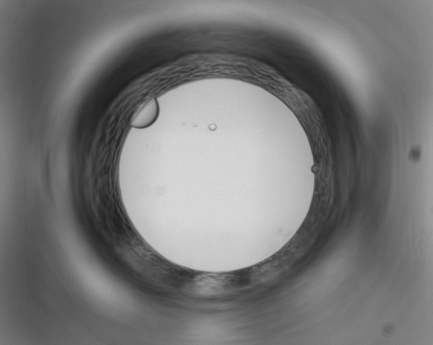 X0000116290526201001111059