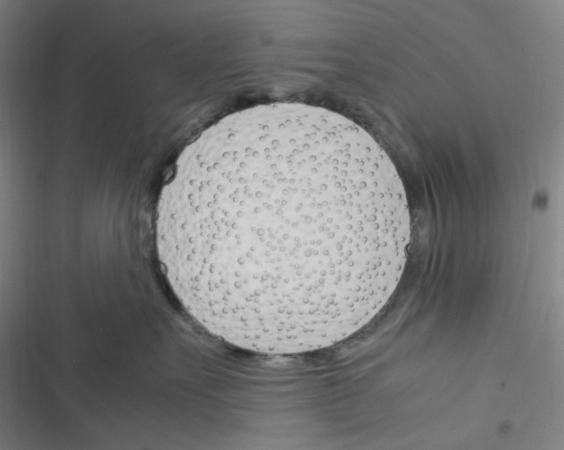 X0000116290527201001111059