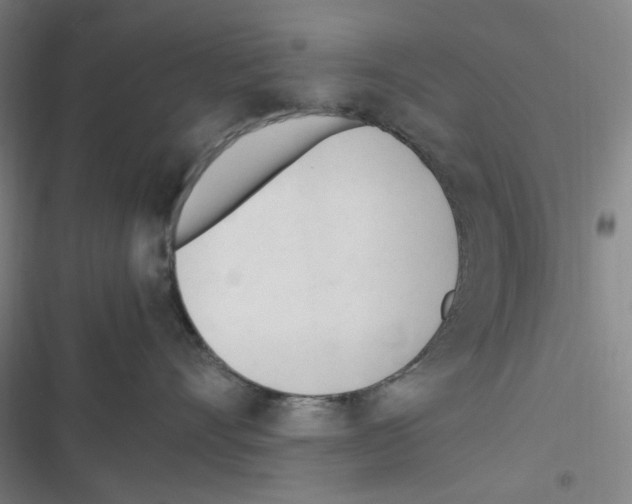 X0000116290528201001111059