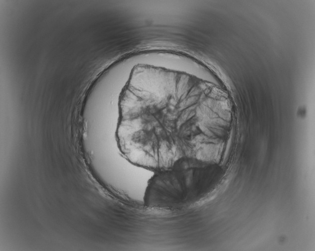 X0000116290529201001111058