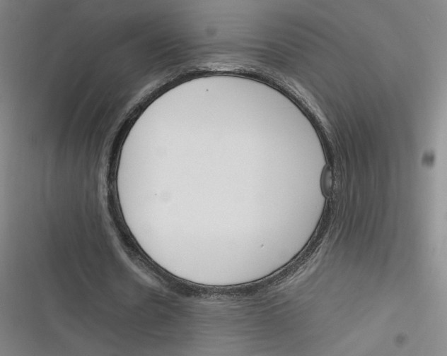 X0000116290530201001111058