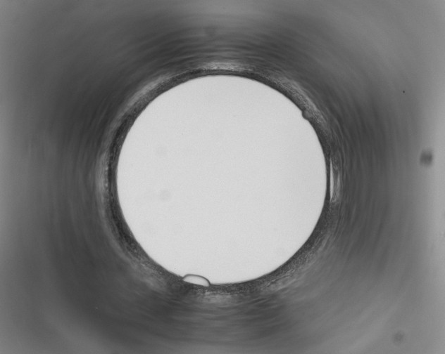 X0000116290531201001111058