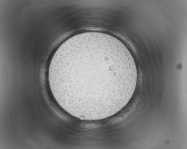 X0000116290533201001111058