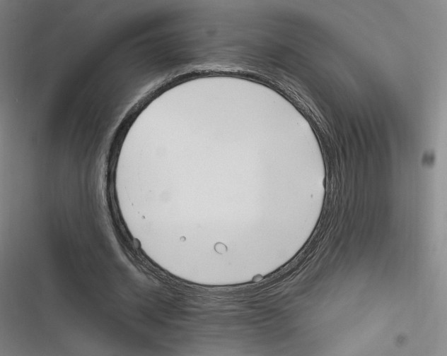 X0000116290534201001111058