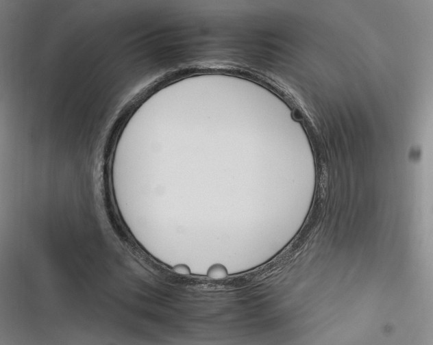 X0000116290535201001111058