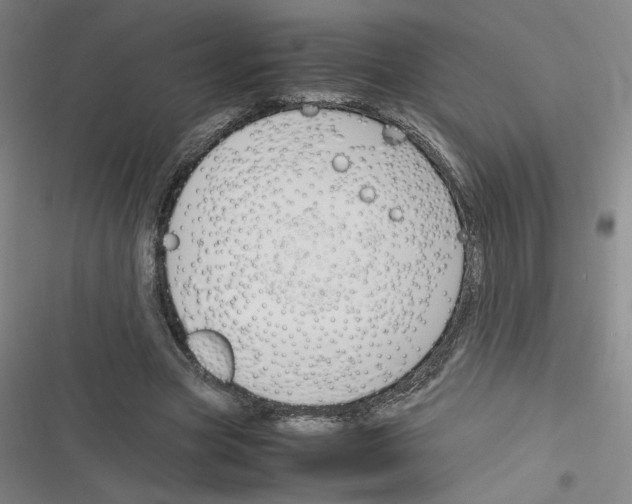 X0000116290537201001111058