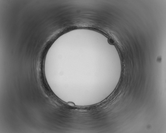 X0000116290539201001111058