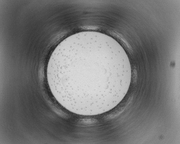 X0000116290541201001111058