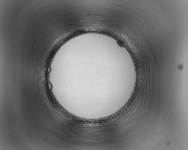 X0000116290543201001111058