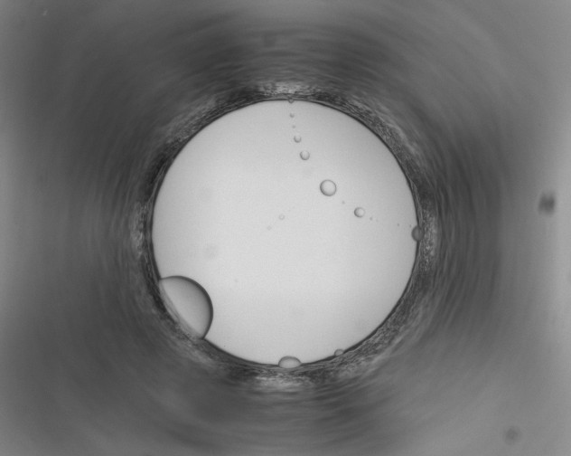 X0000116290545201001111058