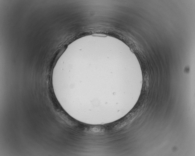 X0000116290546201001111058