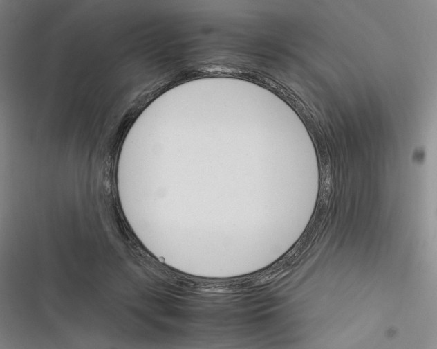 X0000116290547201001111059