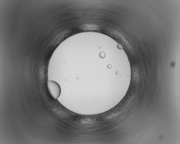 X0000116290549201001111059