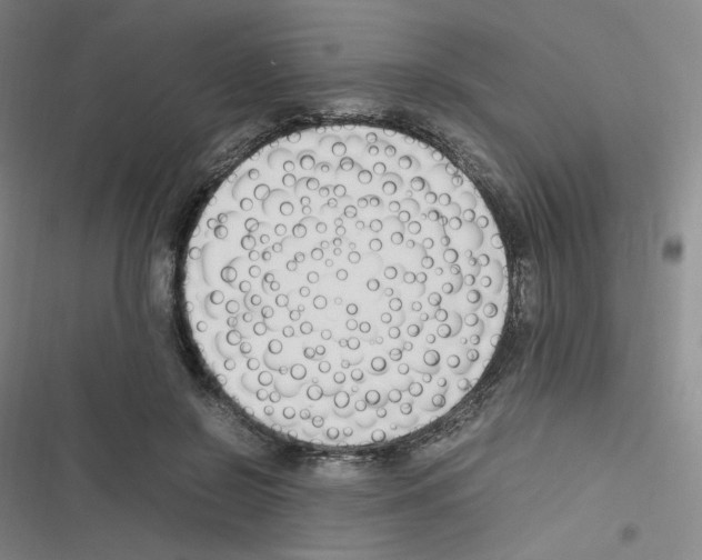 X0000116290550201001111059